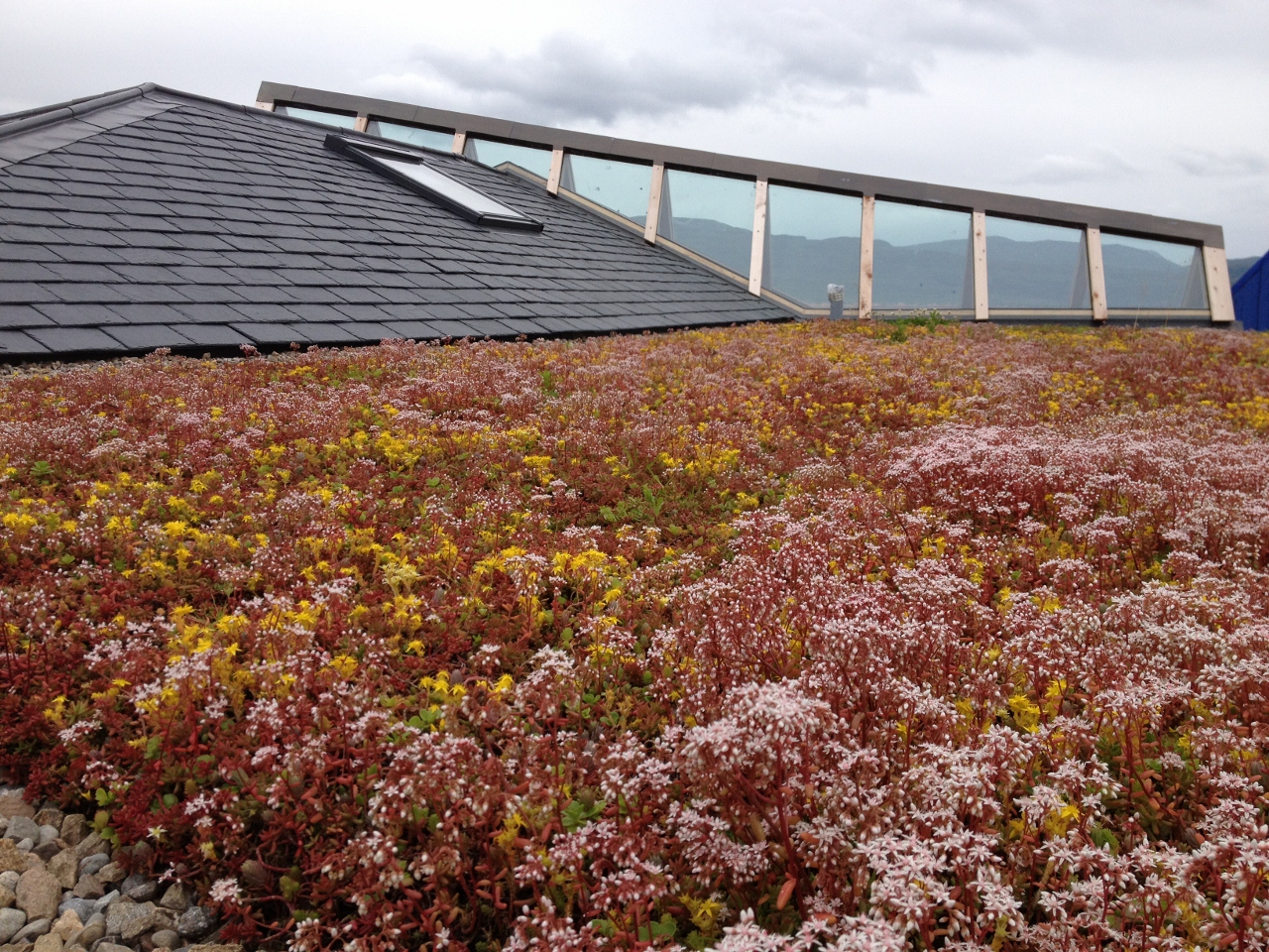 Rubberseal Green Roof Modules